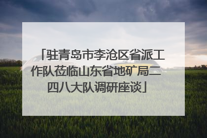 驻青岛市李沧区省派工作队莅临山东省地矿局二四八大队调研座谈