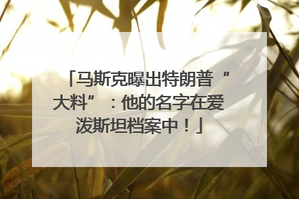 马斯克曝出特朗普“大料”：他的名字在爱泼斯坦档案中！