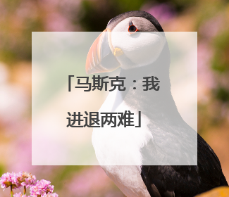 马斯克：我进退两难