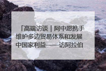 高端访谈｜阿中愿携手维护多边贸易体系和发展中国家利益——访阿拉伯议会议长亚马希