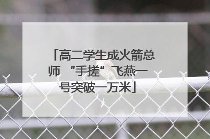 高二学生成火箭总师 “手搓”飞燕一号突破一万米