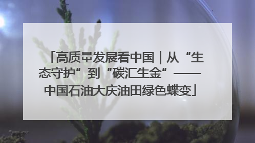 高质量发展看中国｜从“生态守护”到“碳汇生金”——中国石油大庆油田绿色蝶变