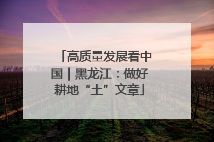 高质量发展看中国｜黑龙江：做好耕地“土”文章