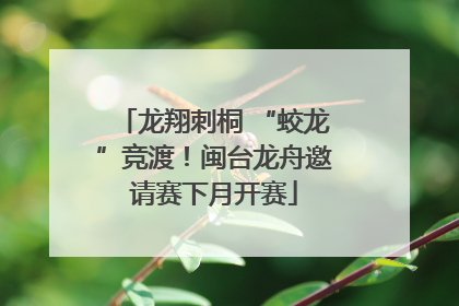 龙翔刺桐 “蛟龙”竞渡！闽台龙舟邀请赛下月开赛