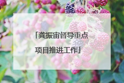 龚振宙督导重点项目推进工作