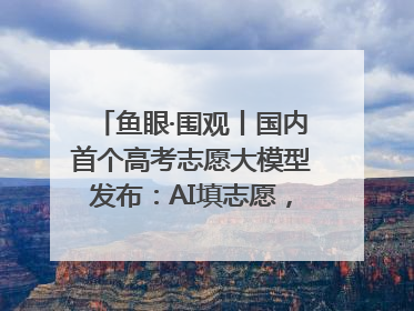 鱼眼·围观丨国内首个高考志愿大模型发布：AI填志愿，靠不靠谱？