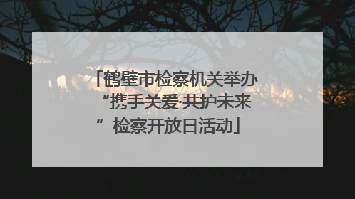 鹤壁市检察机关举办“携手关爱·共护未来”检察开放日活动