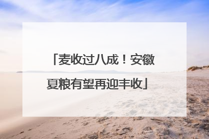 麦收过八成！安徽夏粮有望再迎丰收