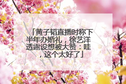黄子韬直播时称下半年办婚礼，徐艺洋透露设想被大赞：哇，这个太好了