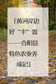 黄河岸边好“丰”景——合阳县特色农业养成记