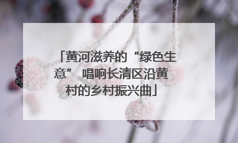黄河滋养的“绿色生意” 唱响长清区沿黄村的乡村振兴曲