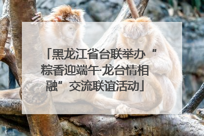 黑龙江省台联举办“粽香迎端午·龙台情相融”交流联谊活动