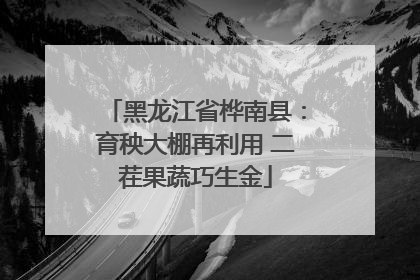 黑龙江省桦南县：育秧大棚再利用 二茬果蔬巧生金