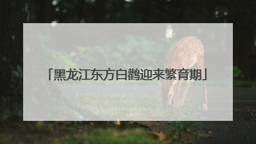 黑龙江东方白鹳迎来繁育期