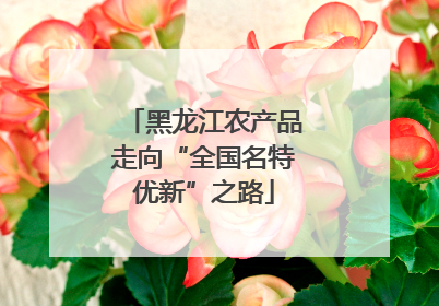 黑龙江农产品走向“全国名特优新”之路