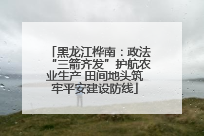 黑龙江桦南：政法“三箭齐发”护航农业生产 田间地头筑牢平安建设防线