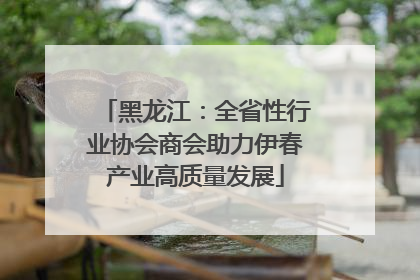 黑龙江：全省性行业协会商会助力伊春产业高质量发展