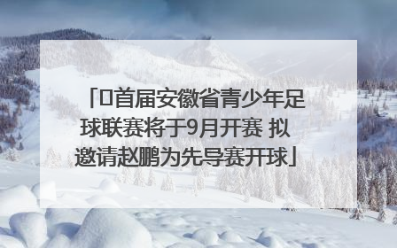 ﻿首届安徽省青少年足球联赛将于9月开赛 拟邀请赵鹏为先导赛开球