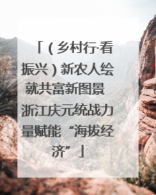 （乡村行·看振兴）新农人绘就共富新图景 浙江庆元统战力量赋能“海拔经济”