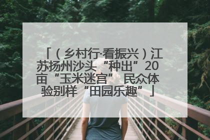 （乡村行·看振兴）江苏扬州沙头“种出”20亩“玉米迷宫” 民众体验别样“田园乐趣”