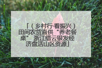 （乡村行·看振兴）田间农货直供“养老餐桌” 浙江缙云银发经济盘活山区资源