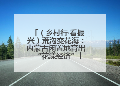 （乡村行·看振兴）荒沟变花海：内蒙古闲置地育出“花漾经济”