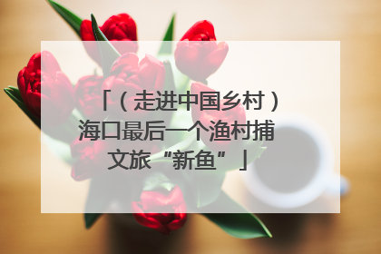（走进中国乡村）海口最后一个渔村捕文旅“新鱼”
