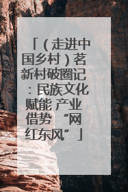 （走进中国乡村）茗新村破圈记：民族文化赋能 产业借势 “网红东风”