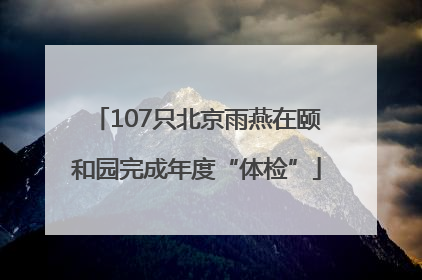 107只北京雨燕在颐和园完成年度“体检”
