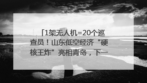 1架无人机=20个巡查员！山东低空经济“硬核王炸”亮相青岛，下一个万亿赛道藏在这里