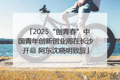 2025“创青春”中国青年创新创业周在长沙开幕 阿东沈晓明致辞