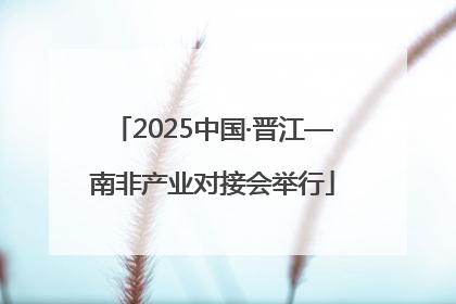 2025中国·晋江—南非产业对接会举行