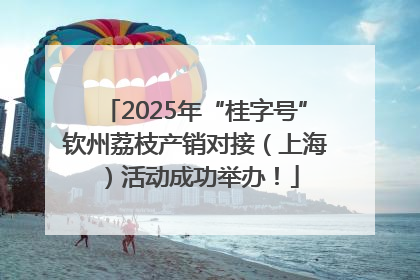 2025年“桂字号”钦州荔枝产销对接（上海）活动成功举办！