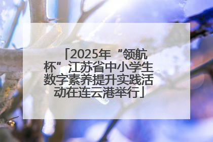 2025年“领航杯”江苏省中小学生数字素养提升实践活动在连云港举行