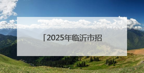 2025年临沂市招商引资工作这样干！