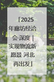 2025年廊坊经洽会·深度｜实现物流新愿景 河北再出发