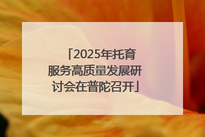 2025年托育服务高质量发展研讨会在普陀召开