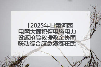 2025年甘肃河西电网大面积停电暨电力设施抢险救援政企协同联动综合应急演练在武威成功举行