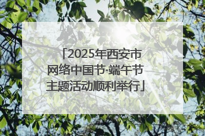 2025年西安市网络中国节·端午节主题活动顺利举行