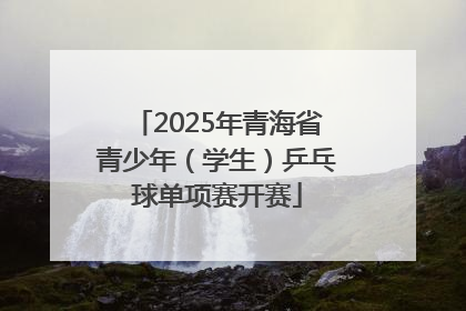 2025年青海省青少年（学生）乒乓球单项赛开赛