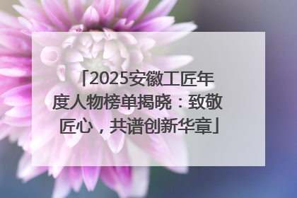 2025安徽工匠年度人物榜单揭晓：致敬匠心，共谱创新华章