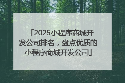 2025小程序商城开发公司排名，盘点优质的小程序商城开发公司