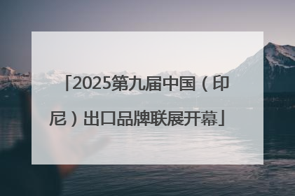 2025第九届中国（印尼）出口品牌联展开幕