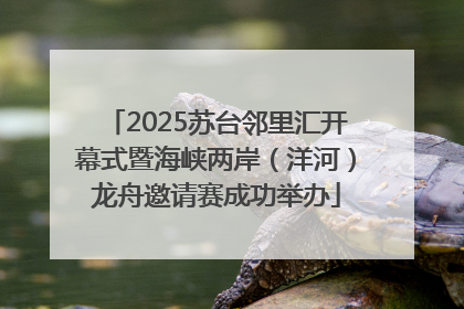 2025苏台邻里汇开幕式暨海峡两岸（洋河）龙舟邀请赛成功举办