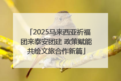 2025马来西亚祈福团来泰安团建 政策赋能共绘文旅合作新篇