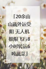 20余亩山蔬外运受阻 无人机极限飞行8小时转运6吨蔬菜