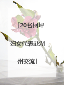 20名柯坪妇女代表赴湖州交流