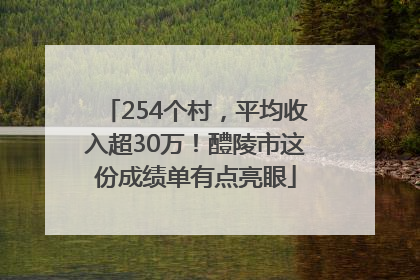 254个村，平均收入超30万！醴陵市这份成绩单有点亮眼