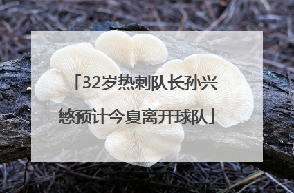 32岁热刺队长孙兴慜预计今夏离开球队