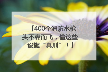 400个消防水枪头不翼而飞，偷这些设施“真刑”！